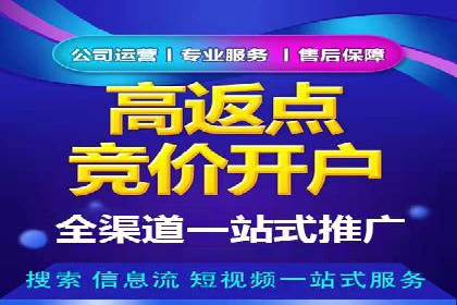 案例解析：sem竞价策略在电商平台的成功应用